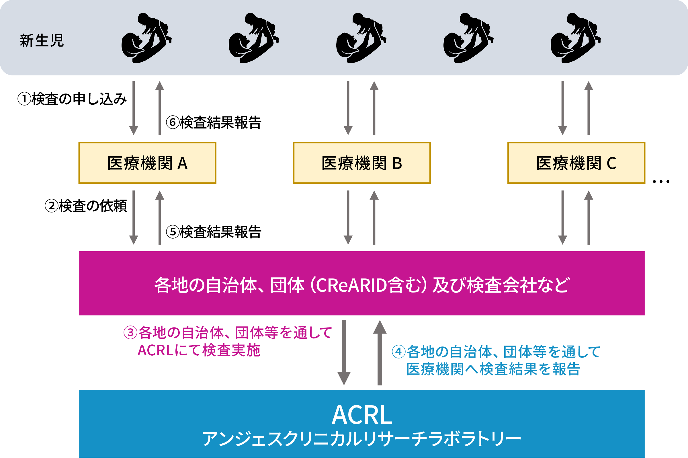 希少遺伝性疾患検査の流れ