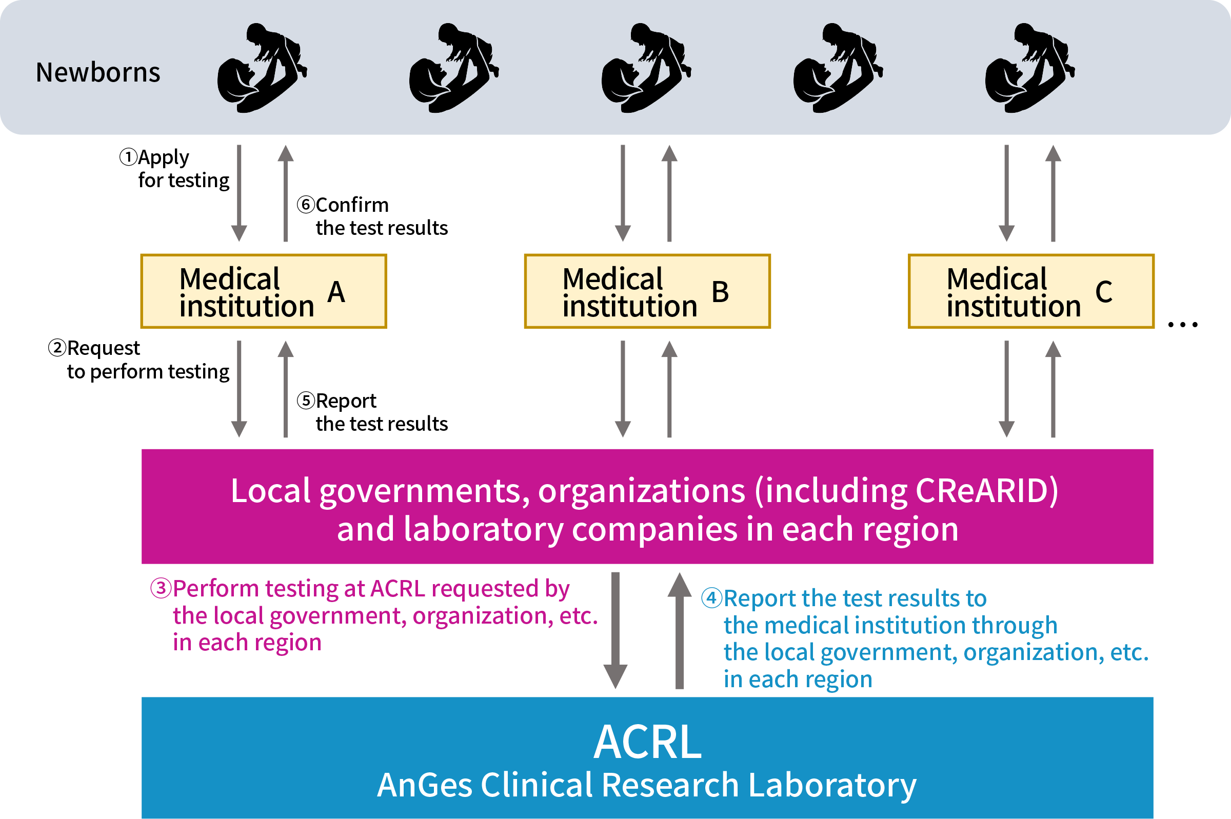 Flow of additional testing for rare genetic diseases