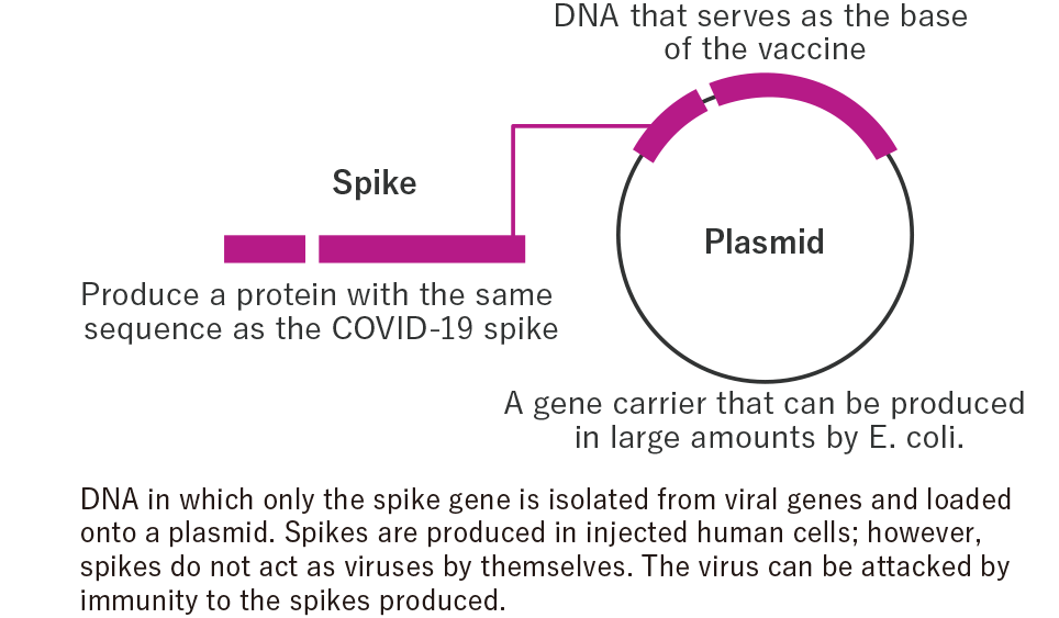 What are DNA vaccines?