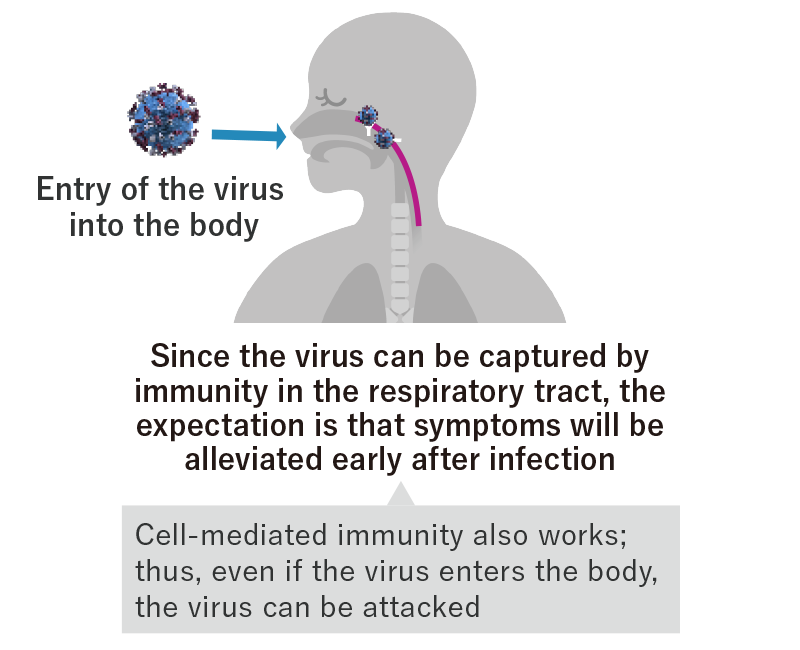 How the vaccine works