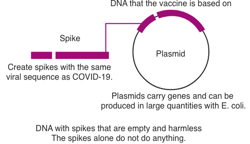 What are DNA vaccines?