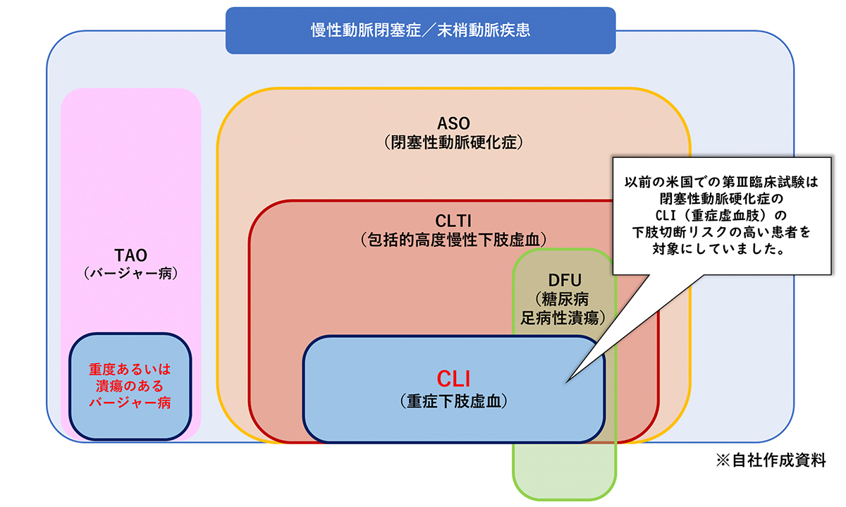 CLTI相関図①