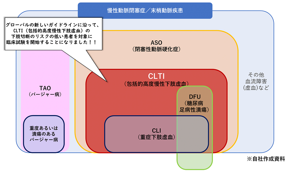 CLTI相関図②