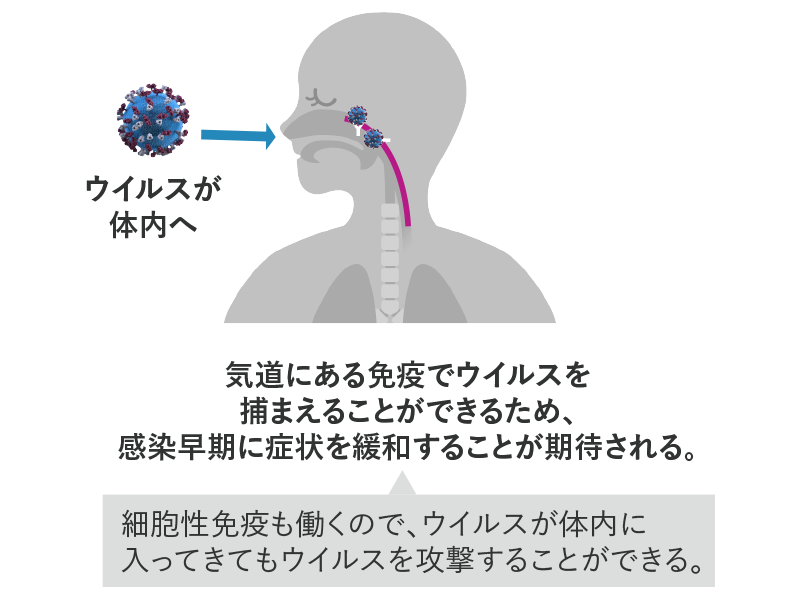 仕組み図解