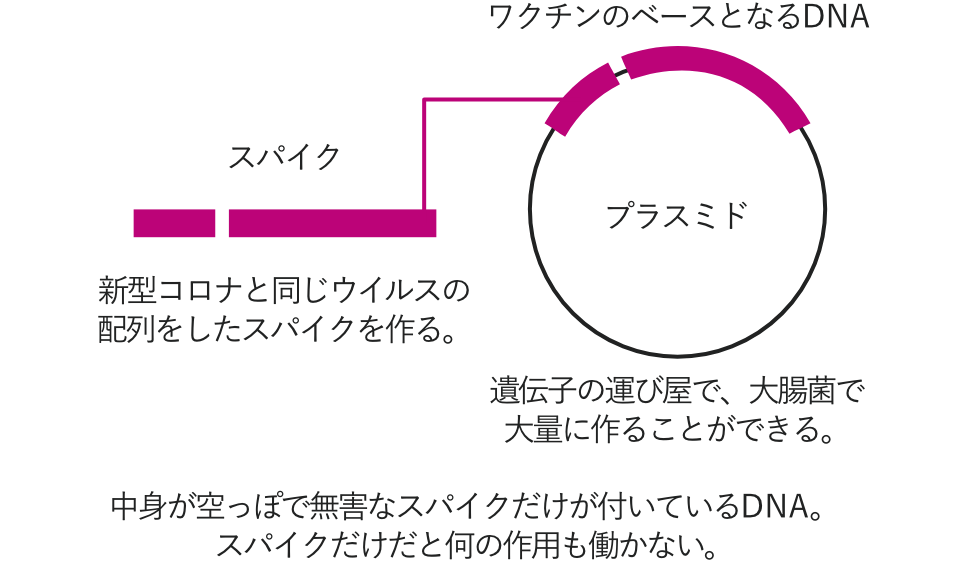 新型コロナウイルス感染症関連情報｜アンジェス株式会社