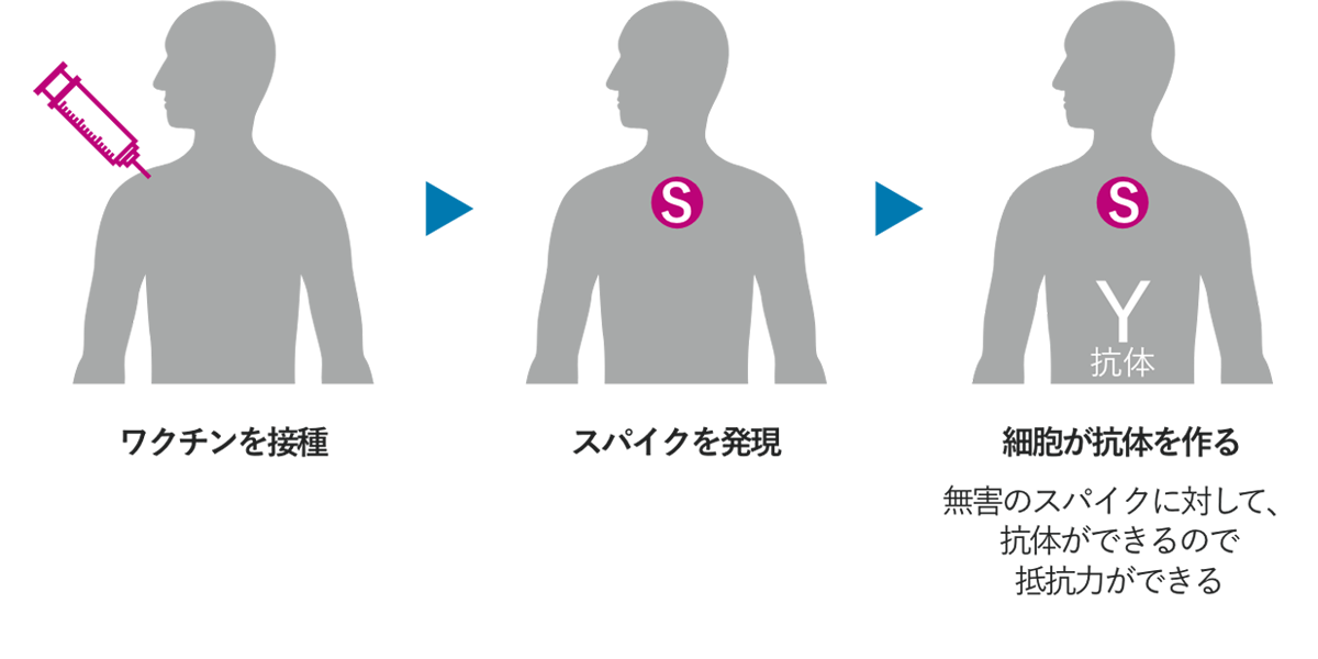 日本 の 製薬 会社 コロナ ワクチン